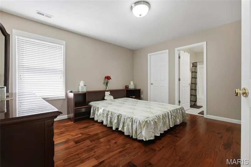 314 Calliope Place, Chesterfield, MO 63017 — listing photo 22 of 39