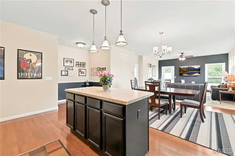 226 City Gate Lane, St Charles, MO 63303 — listing photo 5 of 24