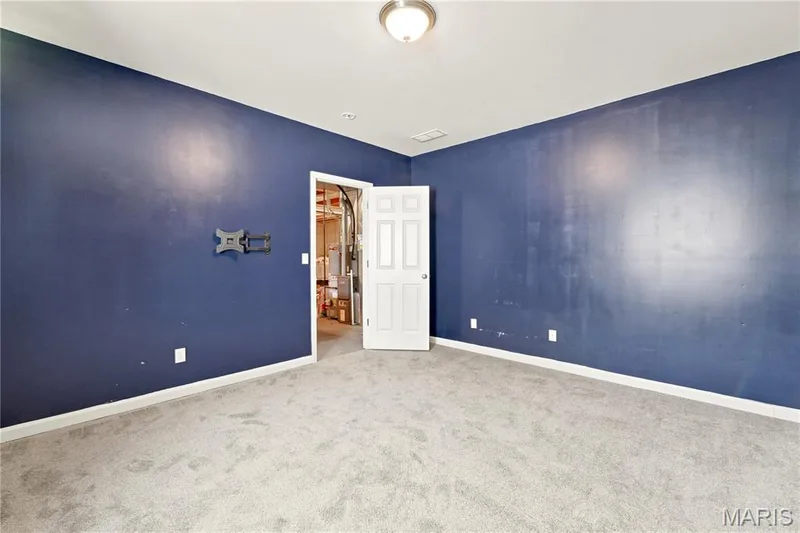 226 City Gate Lane, St Charles, MO 63303 — listing photo 21 of 24