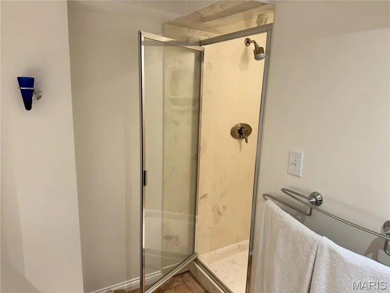 LL bath shower area — 14238 Kinderhook Drive, Chesterfield, MO 63017