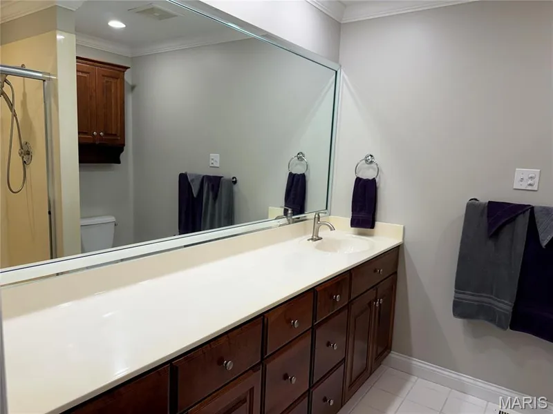 primary bathroom vanityh — 14238 Kinderhook Drive, Chesterfield, MO 63017