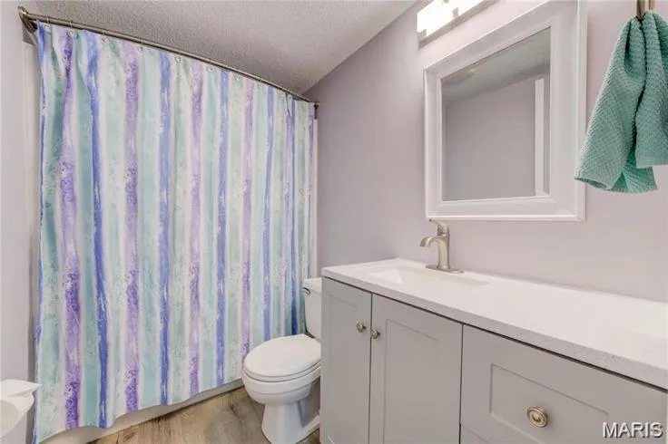 Bathroom featuring wood-finish flooring, a white framed mirror, a vanity with a light gray cabinet and brushed nickel hardware, a white integrated sink, and a toilet — 1430 Summergate Parkway #J, St Charles, MO 63303