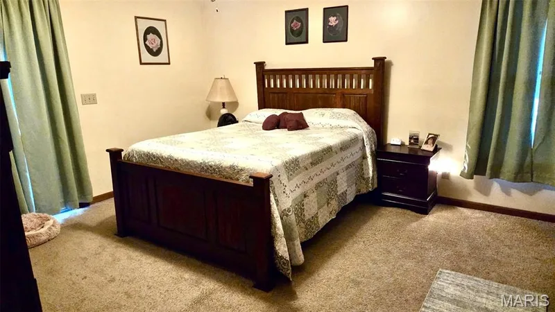 1325 2nd Street, Portage Des Sioux, MO 63373 — listing photo 25 of 54
