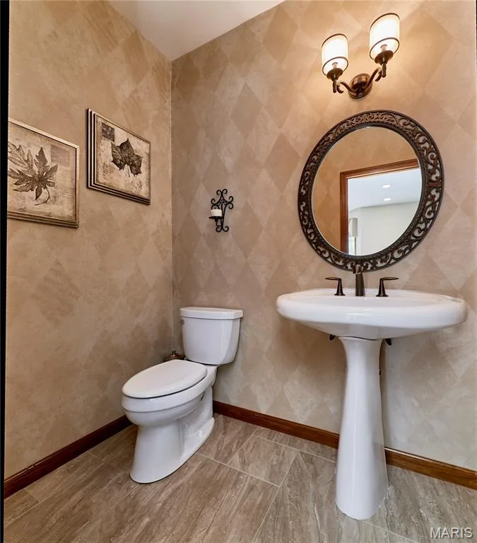 16 Delacroix Place, St Charles, MO 63303 — listing photo 34 of 97