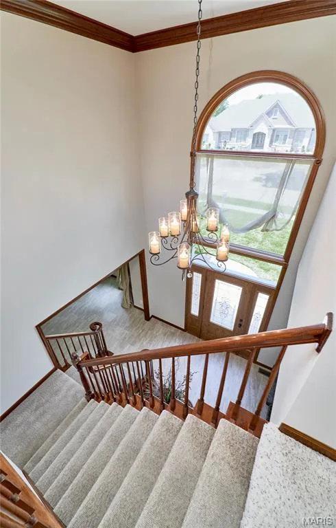 16 Delacroix Place, St Charles, MO 63303 — listing photo 35 of 97