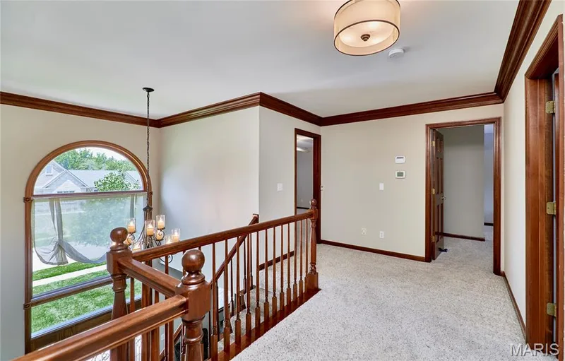 16 Delacroix Place, St Charles, MO 63303 — listing photo 49 of 97