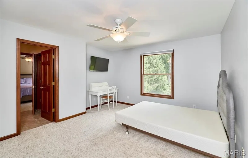 16 Delacroix Place, St Charles, MO 63303 — listing photo 51 of 97