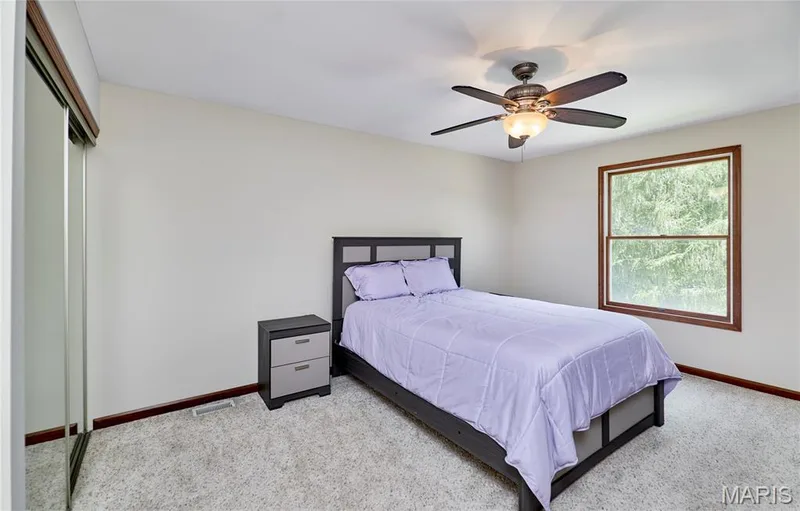 16 Delacroix Place, St Charles, MO 63303 — listing photo 55 of 97