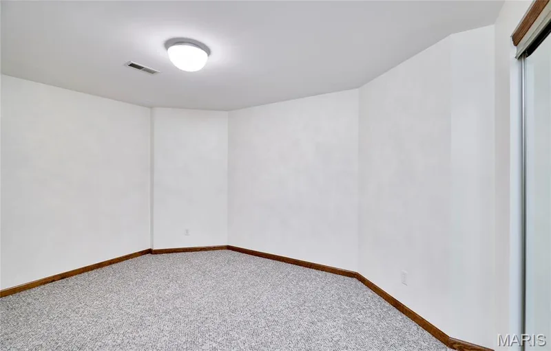 16 Delacroix Place, St Charles, MO 63303 — listing photo 74 of 97