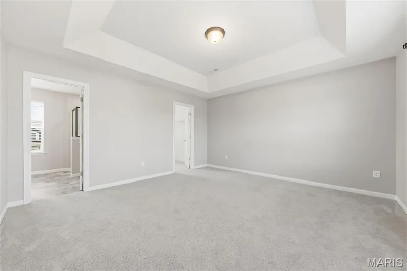 219 Burrograss Drive, Wentzville, MO 63385 — listing photo 25 of 46