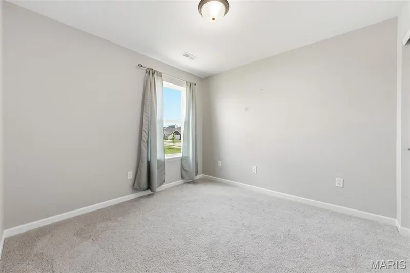 219 Burrograss Drive, Wentzville, MO 63385 — listing photo 31 of 46