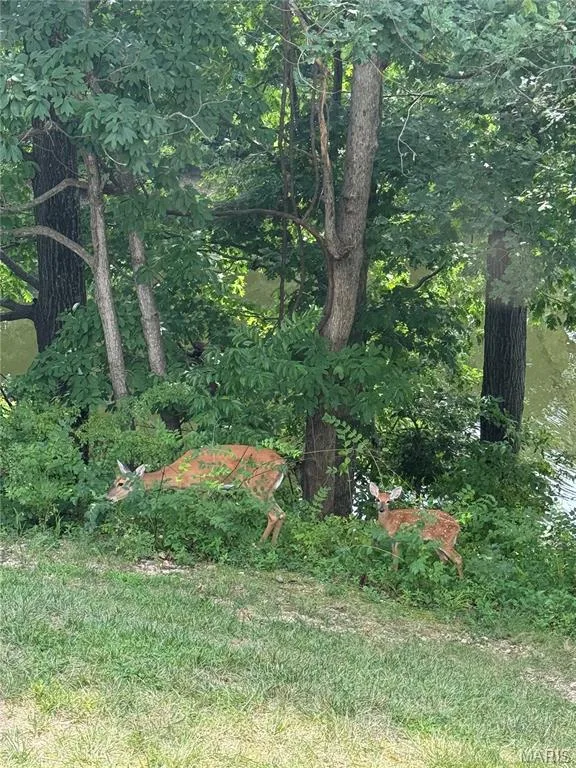Enjoy nature right outside your door — 16566 Victoria Crossing Drive #B, Wildwood, MO 63040