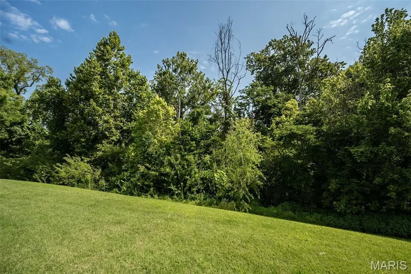 Backs to Common Ground! — 257 Letham Court, St Charles, MO 63301