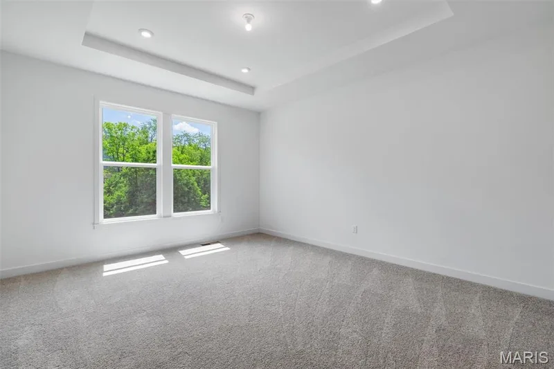 210 Kerry Downs Drive, Dardenne Prairie, MO 63368 — listing photo 37 of 63