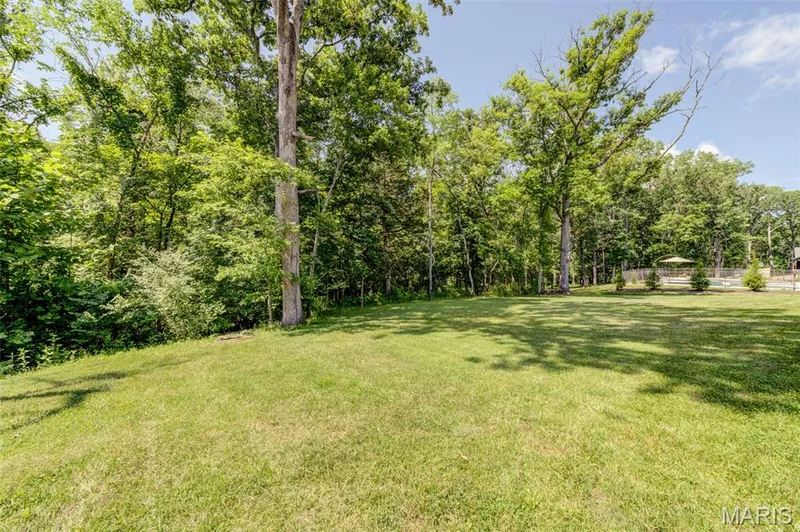 117 Conor Court, New Melle, MO 63365 — listing photo 75 of 83