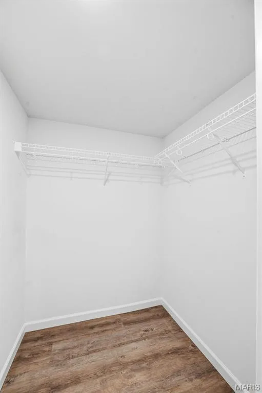 Primary walk-in closet — 321 Bordeaux Way, St Peters, MO 63376