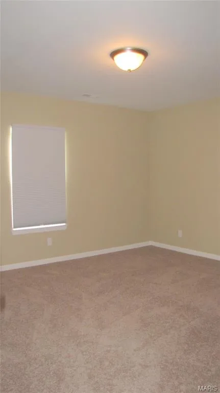 Lower-level 3rd bedroom. — 110 Fallon Villa Court, O'Fallon, MO 63368