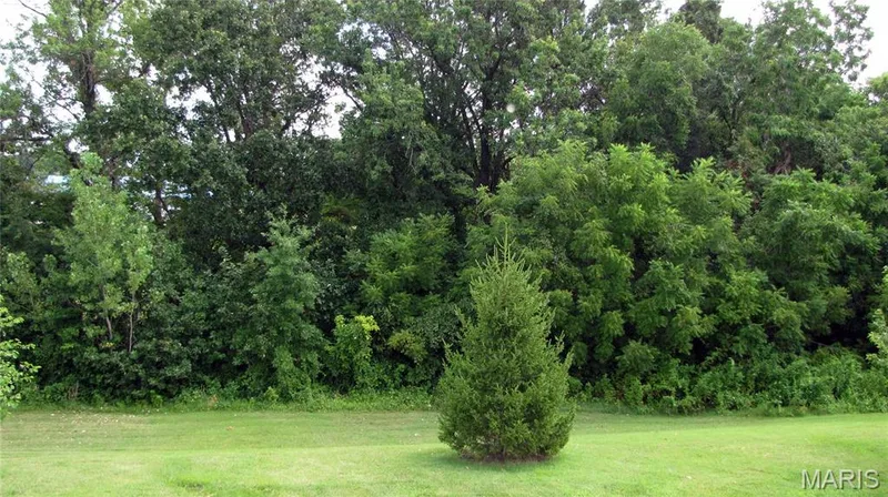 Your view of back yard from your patio. — 110 Fallon Villa Court, O'Fallon, MO 63368