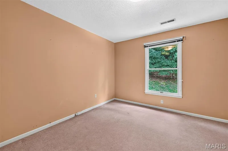 Carpeted room featuring a single window with a wooded backdrop, white trim, and a ceiling-mounted light fixture — 3672 Hawks Rest Road, Wildwood, MO 63069