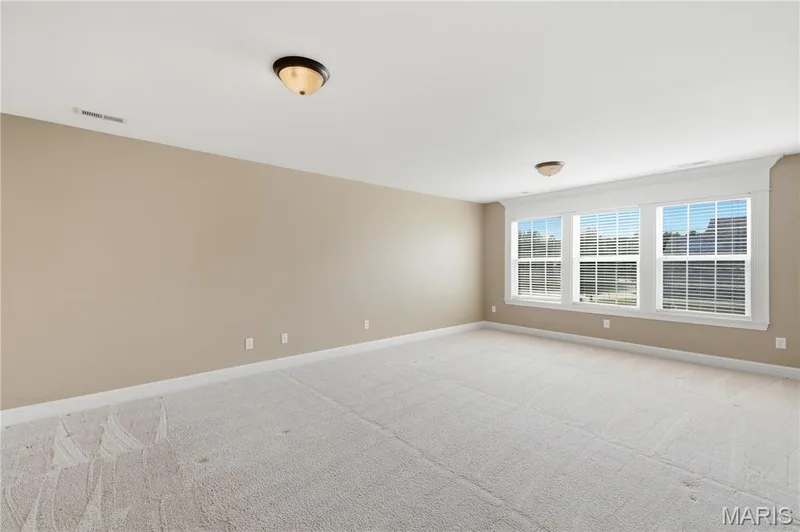 Spacious room featuring neutral carpeting, light-toned wall paint, and multiple windows with white blinds — 5500 Wooded Creek Drive, O'Fallon, MO 63304