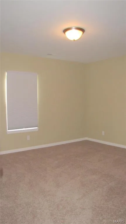 Lower level bedroom 3 — 114 Fallon Villa Court, O'Fallon, MO 63368