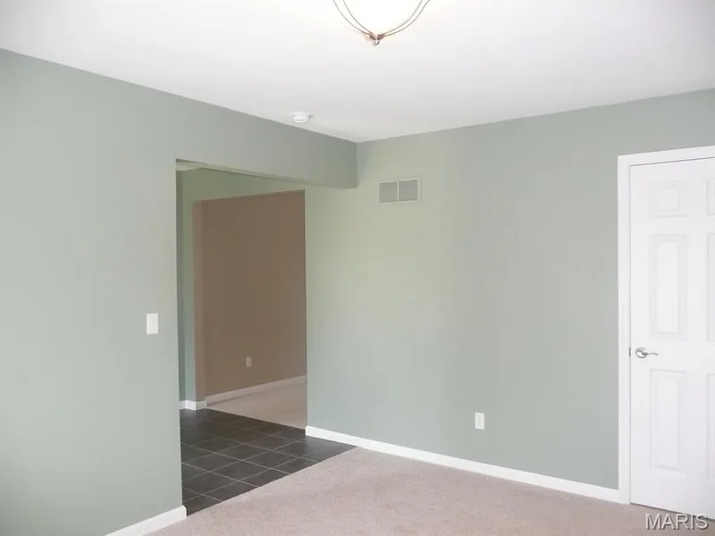Lower level. — 118 Fallon Villa Court, O'Fallon, MO 63368