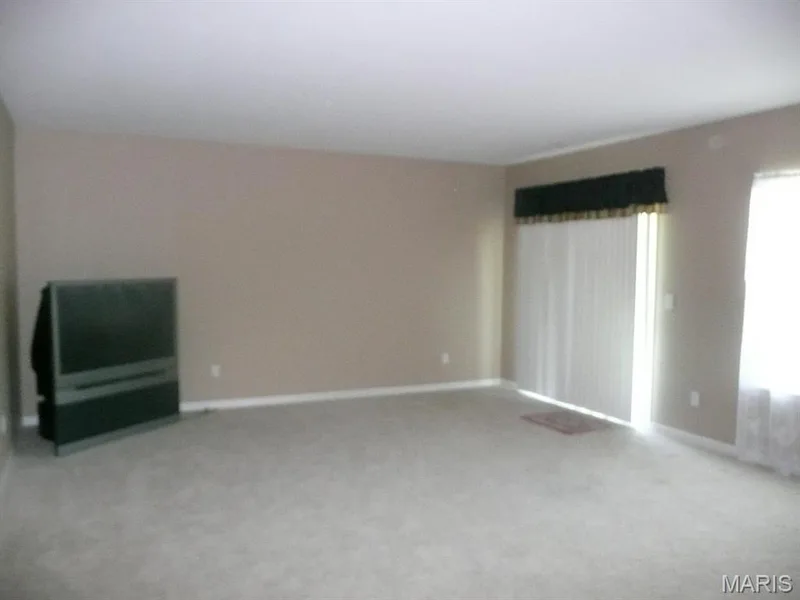 Lower level family room with walk out to patio. — 118 Fallon Villa Court, O'Fallon, MO 63368