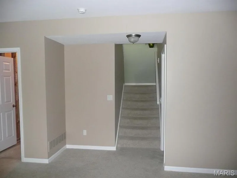 Lower level up the stairs to main level. There are 2 storage rooms one to the left and another to the right of the steps. — 118 Fallon Villa Court, O'Fallon, MO 63368