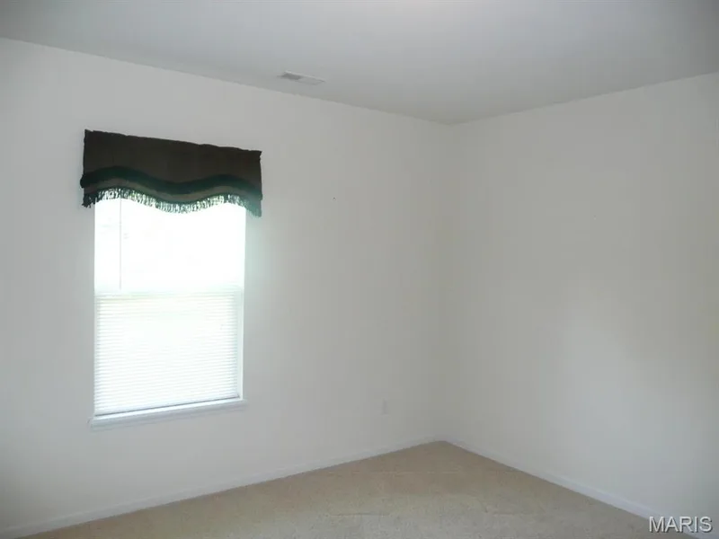 Another view of lower level bedroom. — 118 Fallon Villa Court, O'Fallon, MO 63368