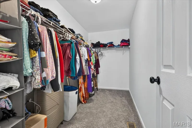 master closet — 206 Hawksbury Place, O'Fallon, MO 63368