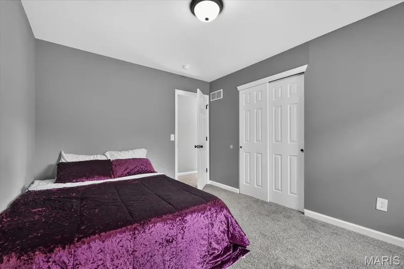206 Hawksbury Place, O'Fallon, MO 63368 — listing photo 31 of 66