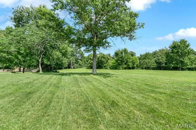 15578 Summer Lake Drive, Chesterfield, MO 63017 — listing photo 32 of 62