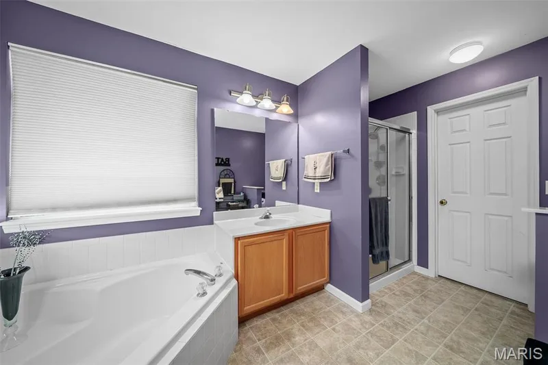 226 Charging Bear Drive, Wentzville, MO 63385 — listing photo 19 of 47