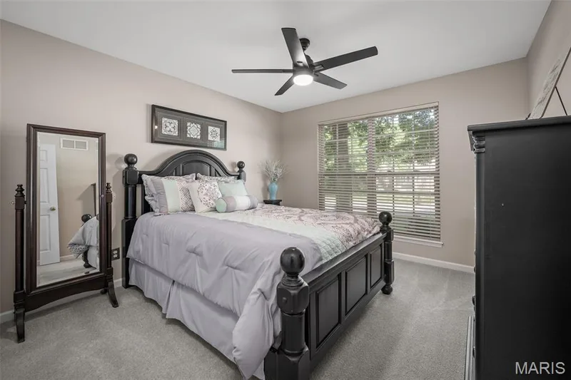 226 Charging Bear Drive, Wentzville, MO 63385 — listing photo 21 of 47