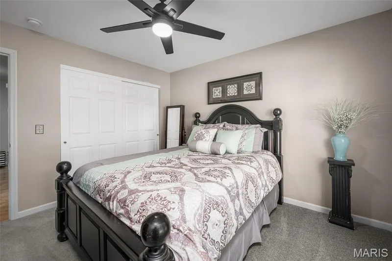226 Charging Bear Drive, Wentzville, MO 63385 — listing photo 22 of 47