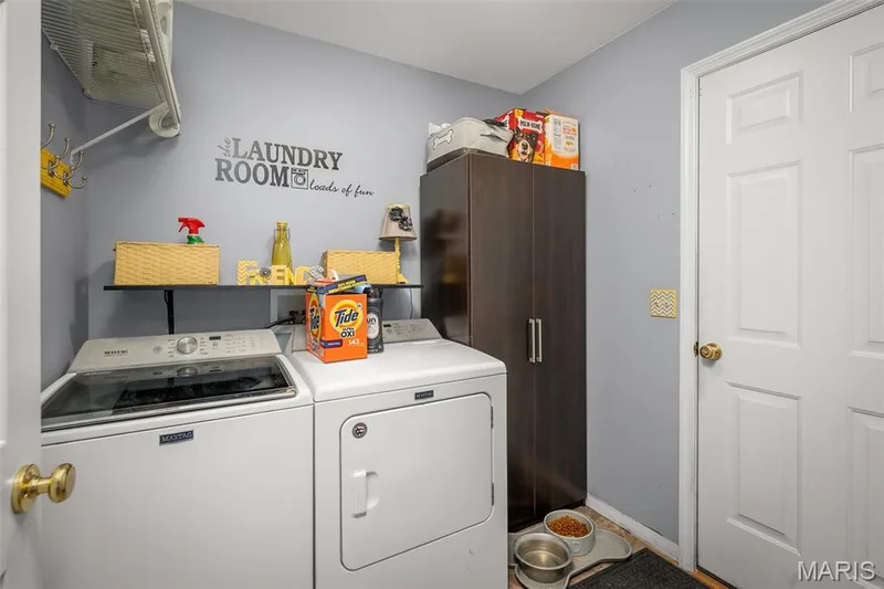 226 Charging Bear Drive, Wentzville, MO 63385 — listing photo 26 of 47