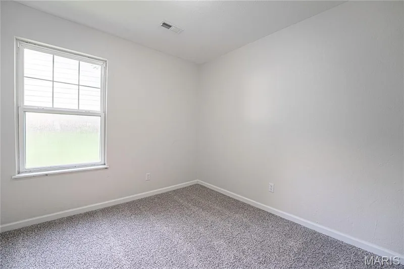 356 Lewis Street, Wentzville, MO 63385 — listing photo 20 of 37