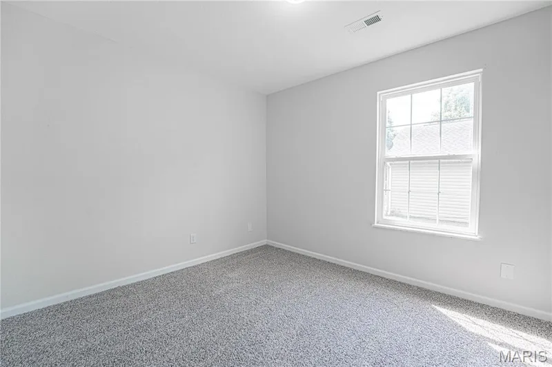 356 Lewis Street, Wentzville, MO 63385 — listing photo 22 of 37