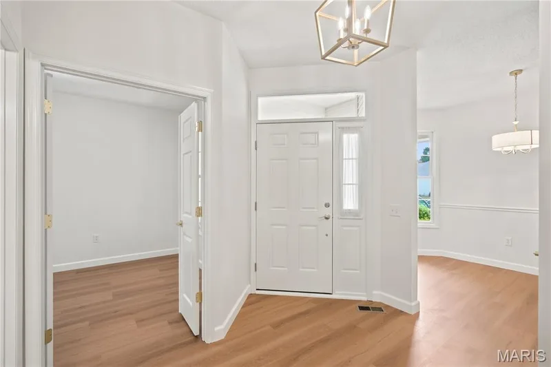 Foyer featuring wood-finish flooring, a white paneled front door with sidelight and transom, and a geometric ceiling light fixture — 704 Harrier Drive #V, Lake St. Louis, MO 63367
