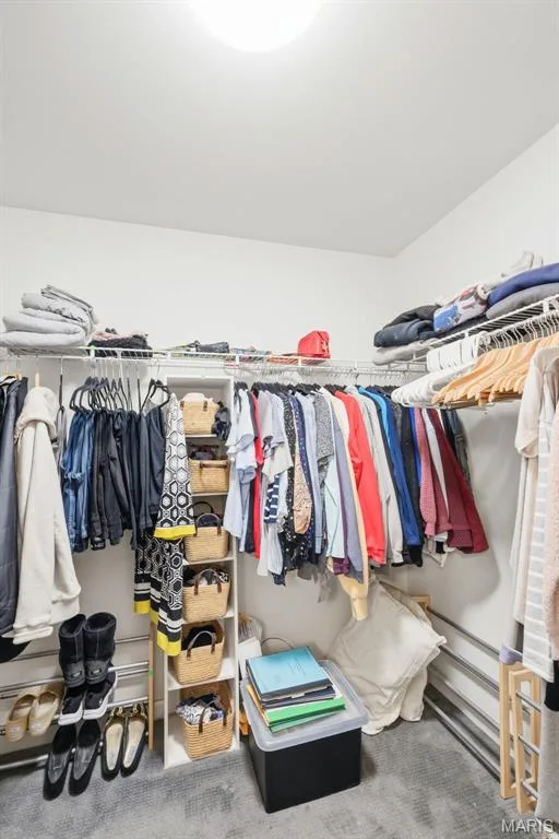 21 Turtle Creek Villas Drive #14R, O'Fallon, MO 63366 — listing photo 20 of 23