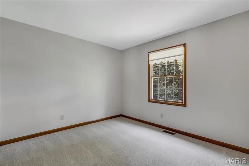 69 Madeira Court, St Charles, MO 63304 — listing photo 25 of 30