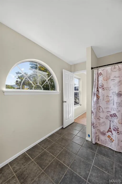 1519 Oakland Hills Drive, O'Fallon, MO 63366 — listing photo 28 of 51