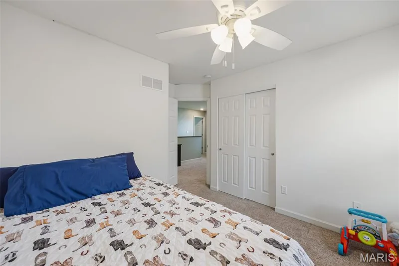 707 Switchgrass Drive, Wentzville, MO 63385 — listing photo 16 of 24