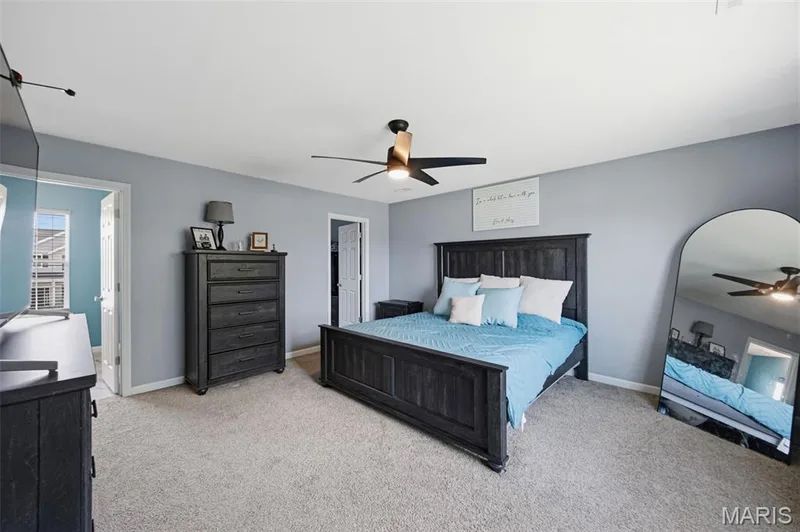 707 Switchgrass Drive, Wentzville, MO 63385 — listing photo 19 of 24