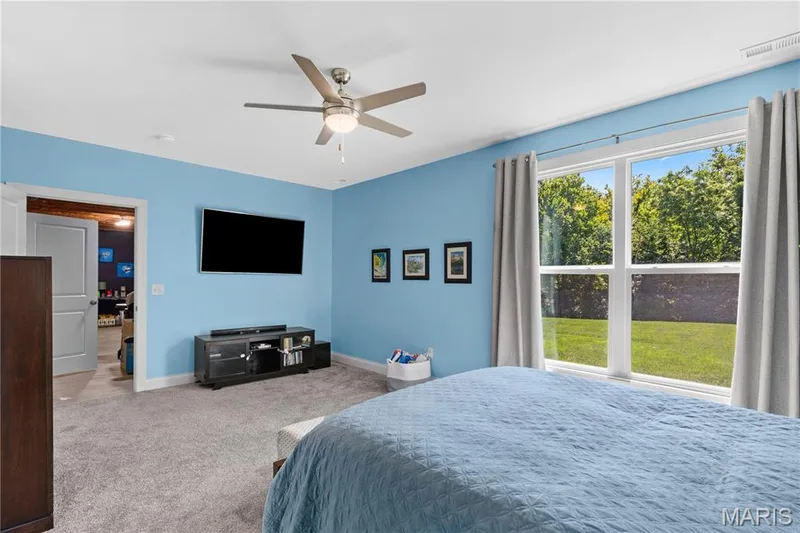 And the quiet view of the back yard and nature park! — 1316 Silver Fern Drive, Lake St. Louis, MO 63367