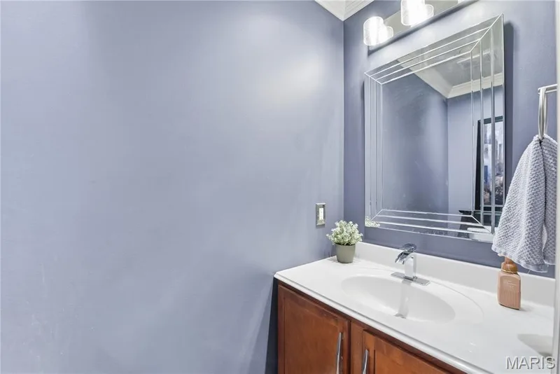 Main-level powder room. — 539 Sunshine Brook Drive, Wentzville, MO 63385