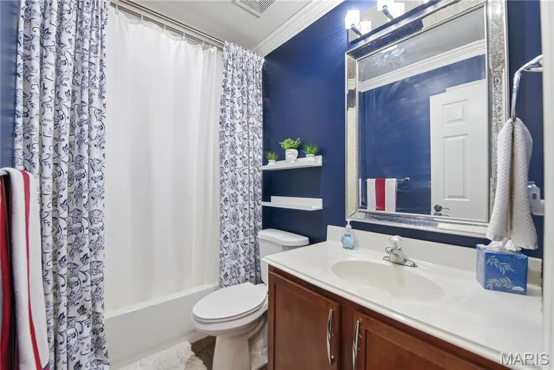 Bright and stylish full bathroom — 539 Sunshine Brook Drive, Wentzville, MO 63385