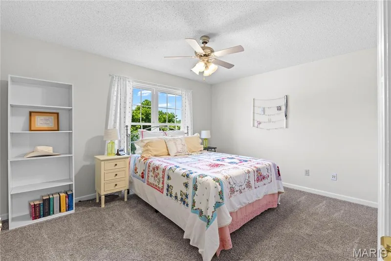 32 Lisa Nicole Court, St Peters, MO 63376 — listing photo 21 of 37