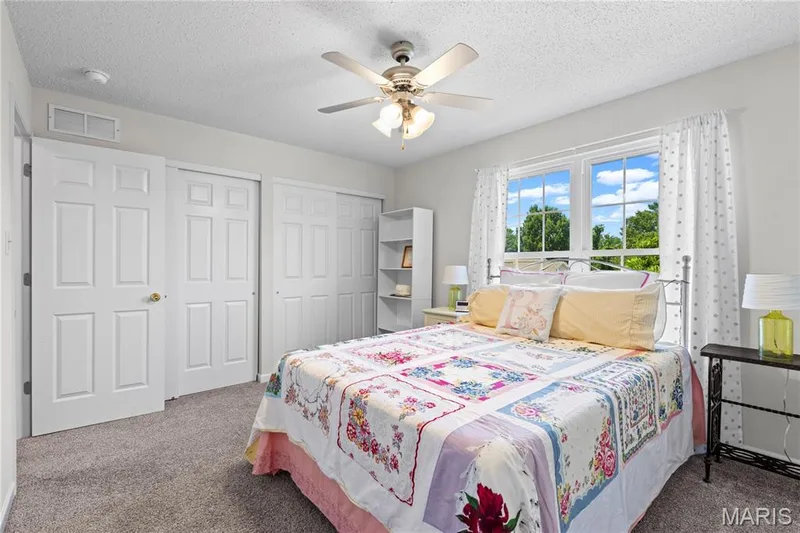 32 Lisa Nicole Court, St Peters, MO 63376 — listing photo 22 of 37
