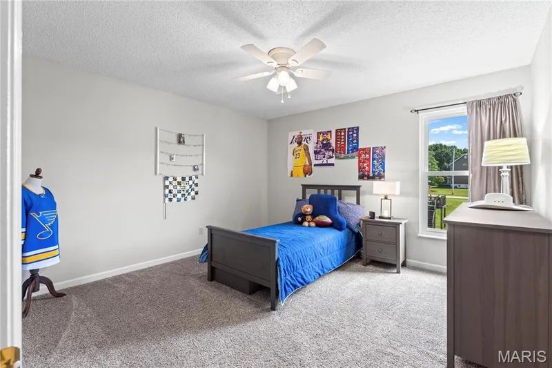 32 Lisa Nicole Court, St Peters, MO 63376 — listing photo 24 of 37